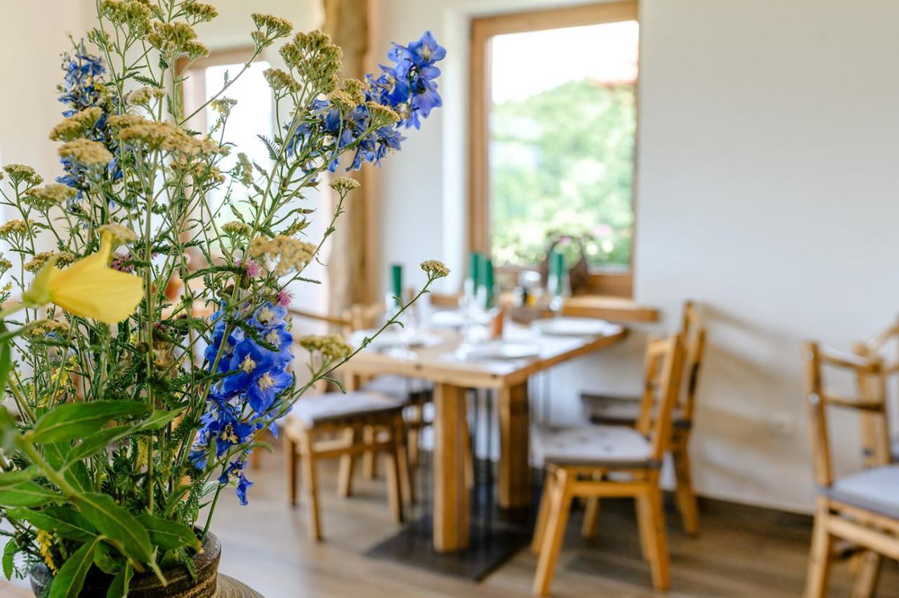 Pensjonat House Mrzlin Grad Korenica Zewnętrze zdjęcie